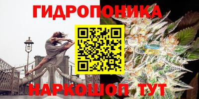 молекула духа Дубна