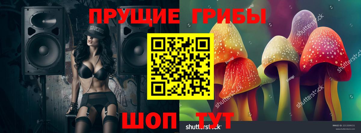 Галлюциногенные грибы Psilocybe Можайск