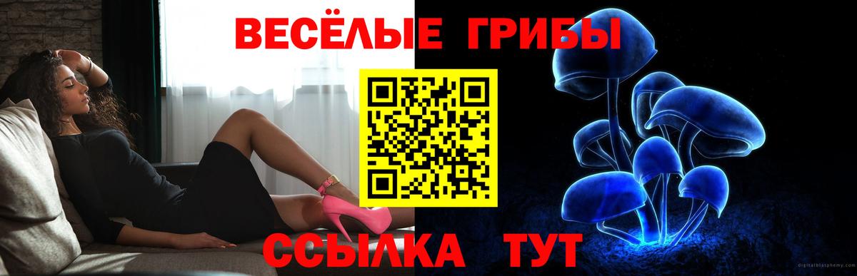 Галлюциногенные грибы мицелий  Галлюциногенные грибы прущие грибы  как найти закладки  Вход с VPN  Можайск 